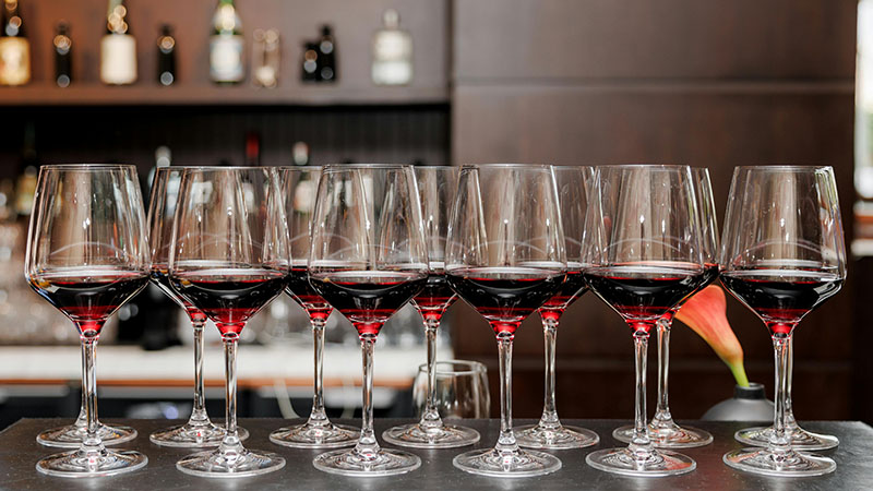 Dégustation vin de Vinc'