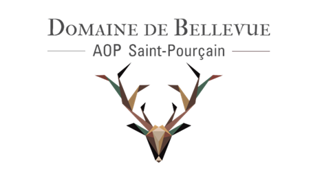 Logo Domaine de Bellevue